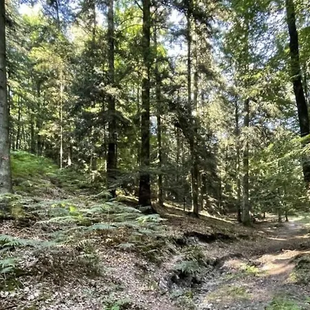 Douceur De Vivre Au Bord De L'avre Chennebrun