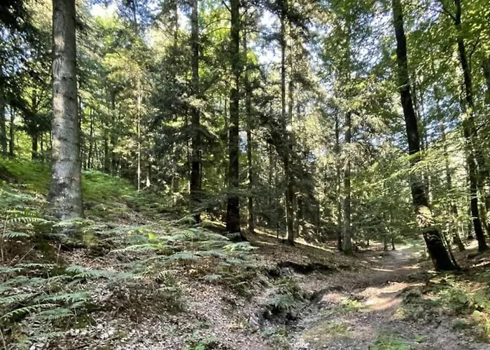 Douceur De Vivre Au Bord De L'avre Chennebrun